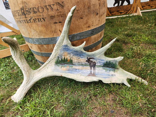 Hand Painted Moose Antler (Moose Scene in Water)