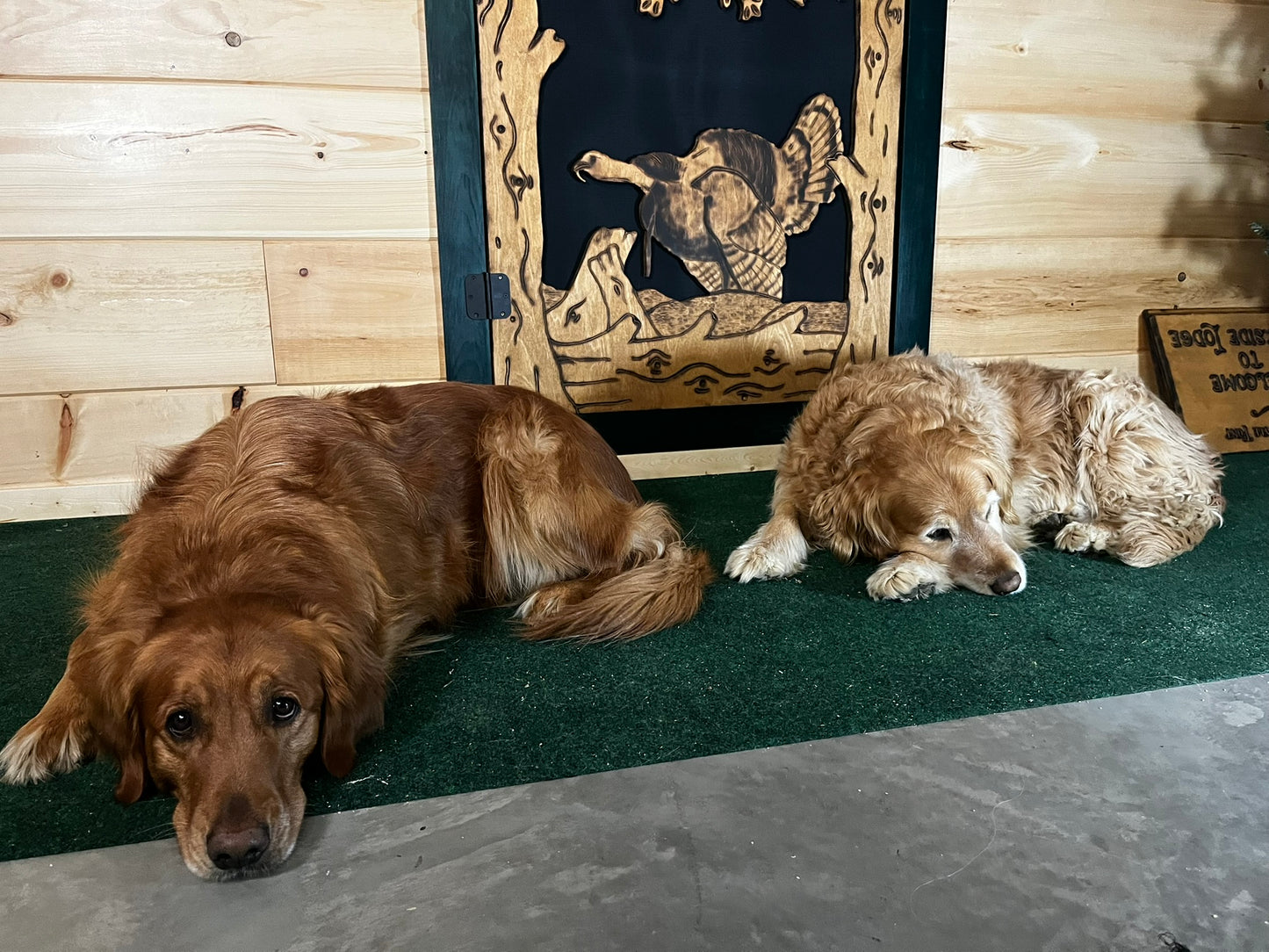 Wild Turkey Screen Door